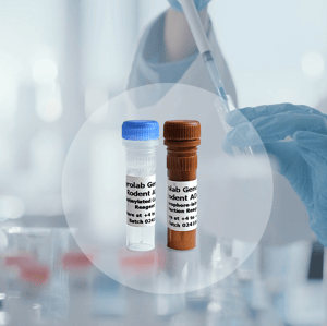 Gyrolab® Generic Rodent ADA Kit Reagents