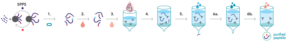 Detailed scheme of the PEC process using the PEC-Linker RC+.
