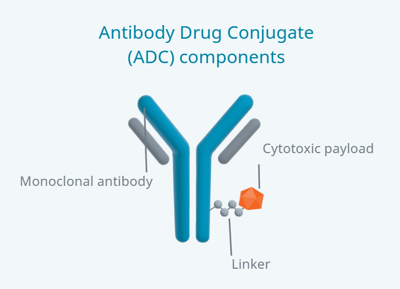 Antibody Drug Conjugate (ADC) components-3