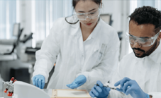 Bayer blog
