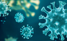 CS_Challenges of developing anti-drug antibody and concentration (PK or PD)