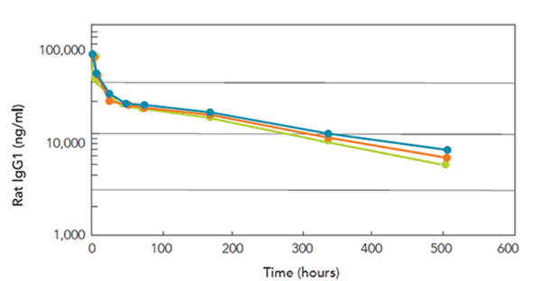 Three full PK profiles from three rodents; IV administration of a therapeutic antibody. (Data courtesy of AstraZeneca)