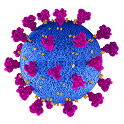 Immunoassays for COVID-19 research and vaccine R&D