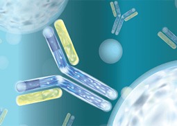 Gyrolab PK immunoassays for COVID-19 antibody therapeutics 