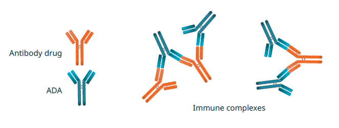 Generic assays for ADA assessment in rodents