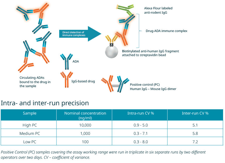 blog Generic assays for ADA detection in rodents-1
