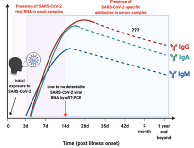 chart-covid-illness-onset