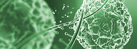 Adeno-associated virus (AAV) Adeno-associated virus (AAV)