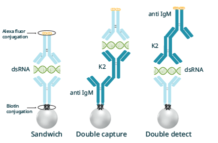 Labeling and evaluation of antibody pairs blog