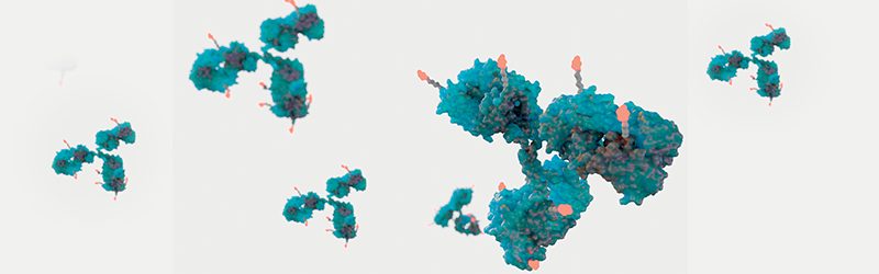 Accelerating Antibody-Drug Conjugate Development Accelerating Antibody-Drug Conjugate Development