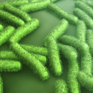 E.Coli HCP 2G Solution for Gyrolab