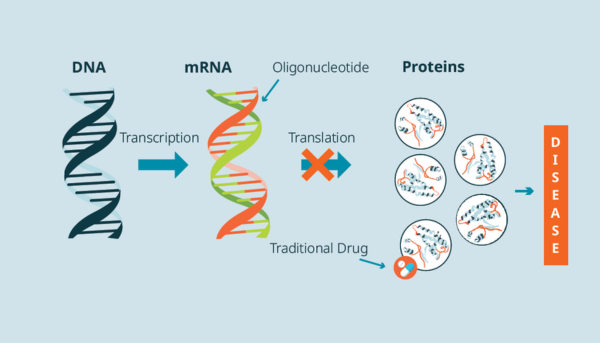 Oligonucleotide analysis with the Gyrolab immunoassay platform Oligonucleotide analysis with the Gyrolab immunoassay platform