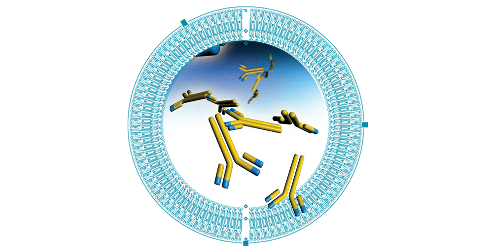 Fast, automated, and robust immunogenicity immunoassays with Gyrolab platform