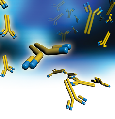 ada-assays-mabs-biosimilars