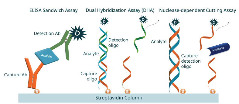 Automated hybridization assays to measure ASO drug levels in biological samples image 2 Automated hybridization assays to measure ASO drug levels in biological samples image 2