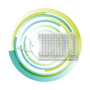 Custom Assay Development 