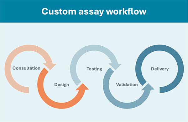 Custom Assay Workflow