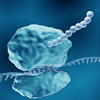 EndonucleaseGTP Solution for Gyrolab