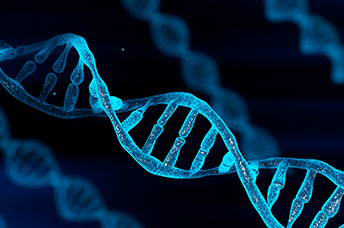 Peptide Nucleic Acids (PNAs)