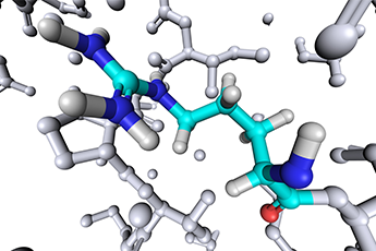 Peptide Synthesis Applications