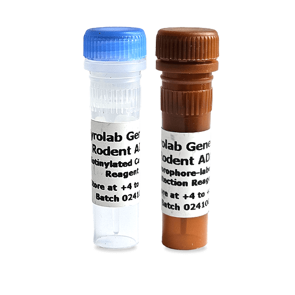 Gyrolab Generic Rodent ADA Kit Reagents web