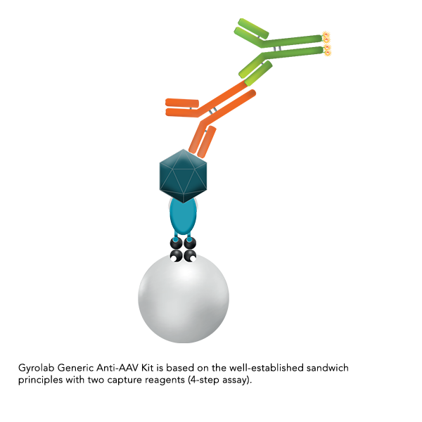Gyrolab Generic Anti-AAV sandwich-1