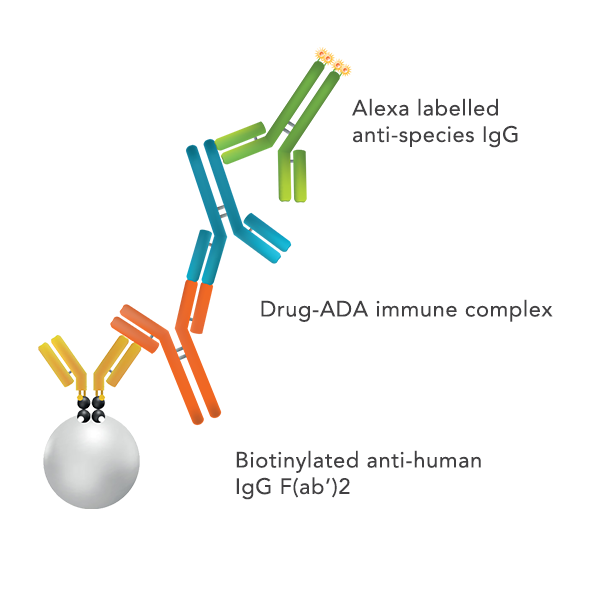 Gyrolab Generic ADA sandwich assay